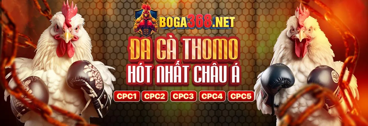 Hình ảnh thể thao sôi động tại SX88
